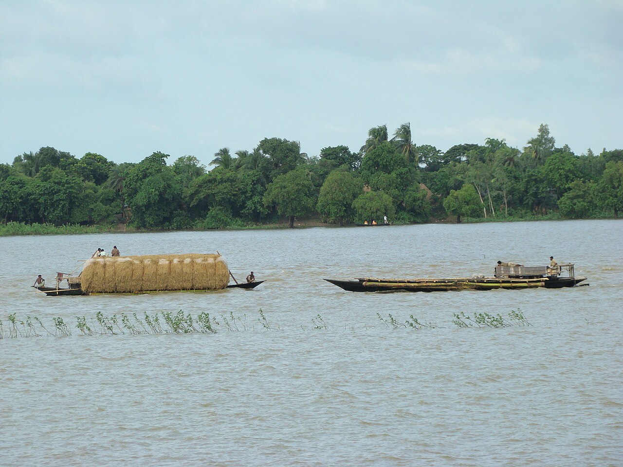Chalan Beel river boat Bangladesh — ফাইল ছবি