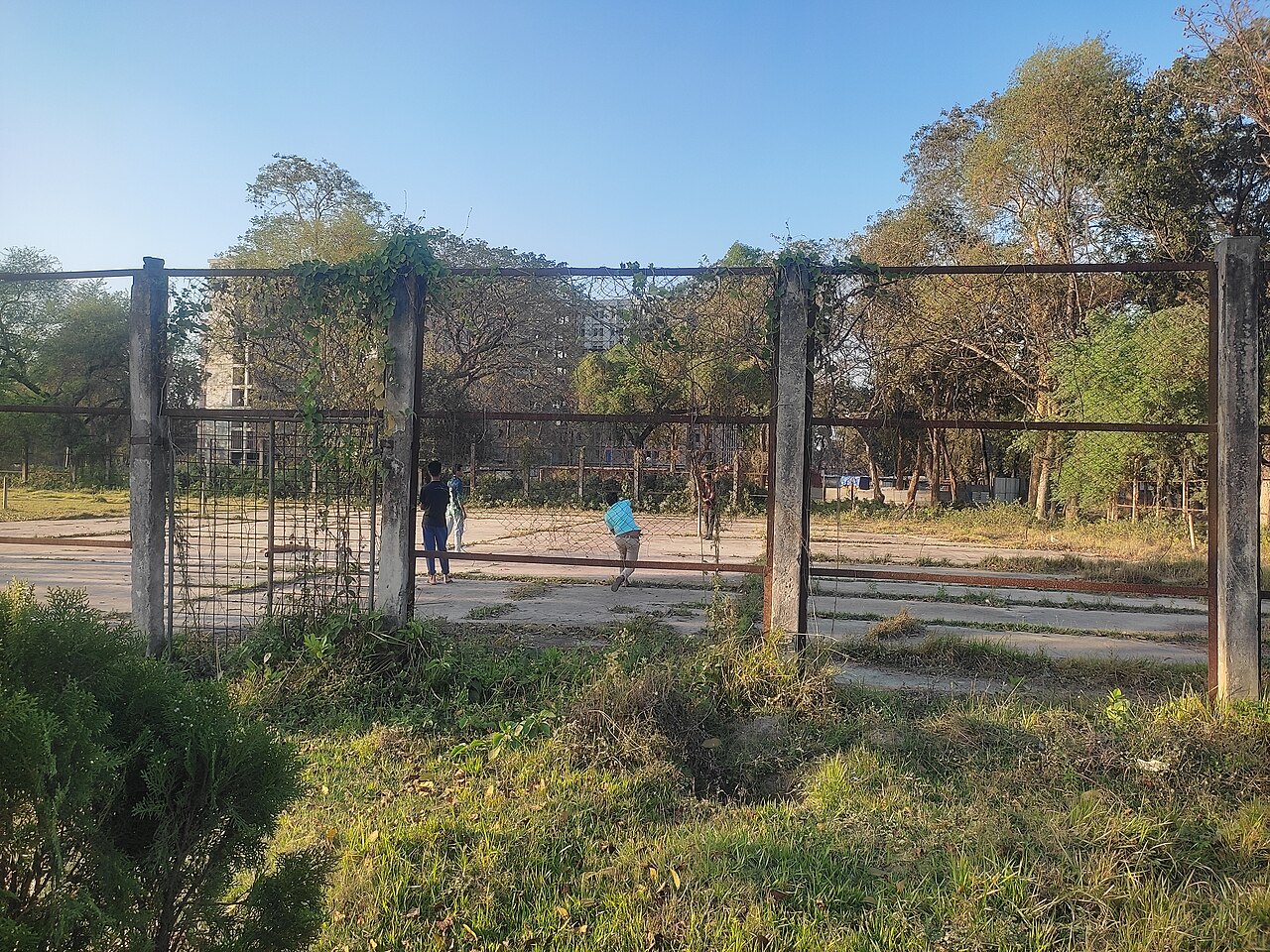 Rajshahi University campus — ফাইল ছবি