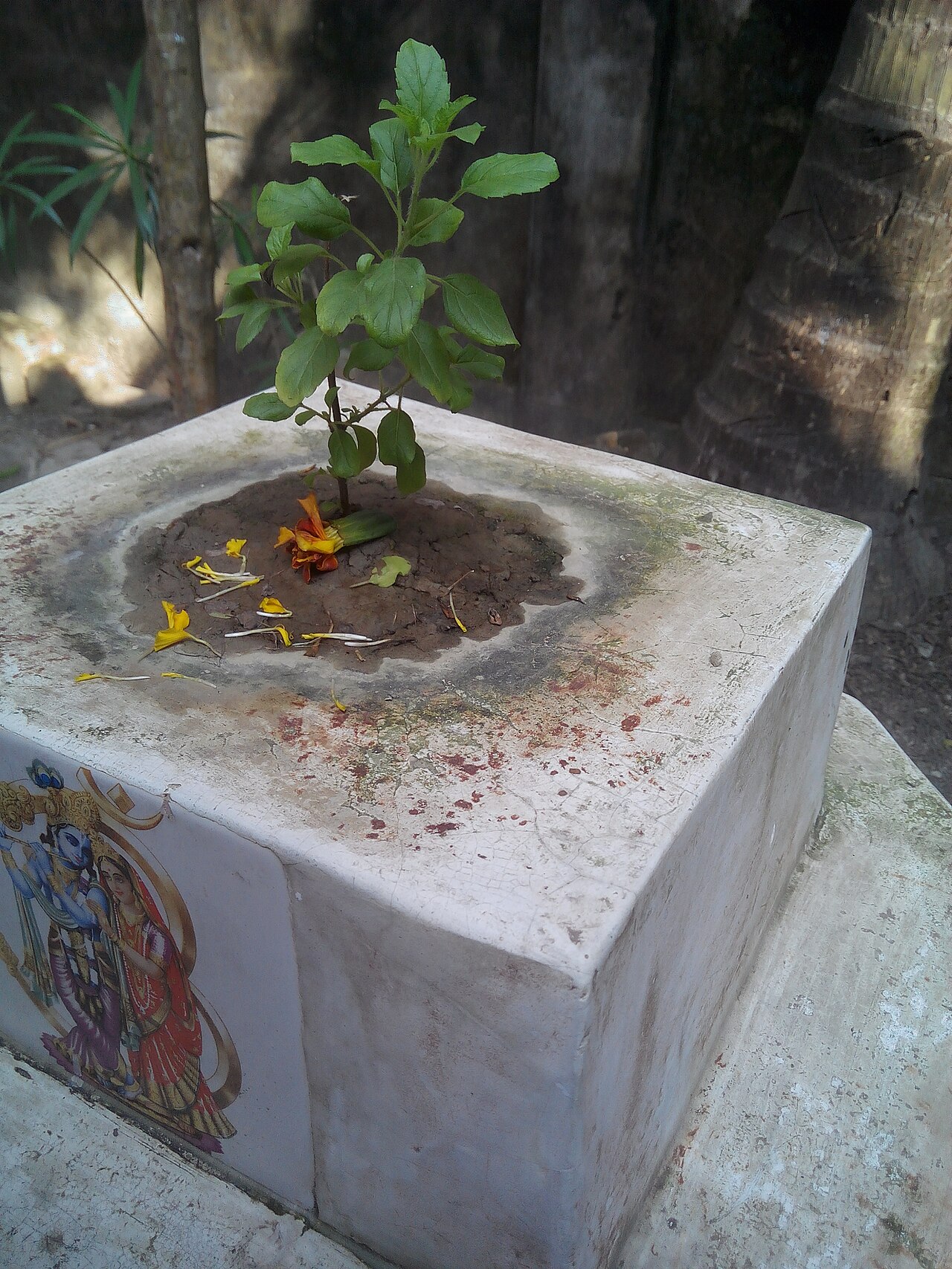 Noakhali Bangladesh house — প্রতীকী ছবি